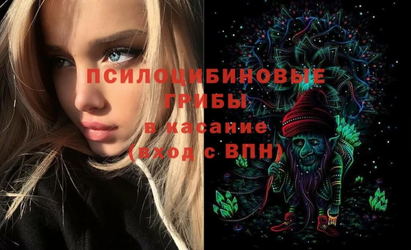 mdma Новодвинск