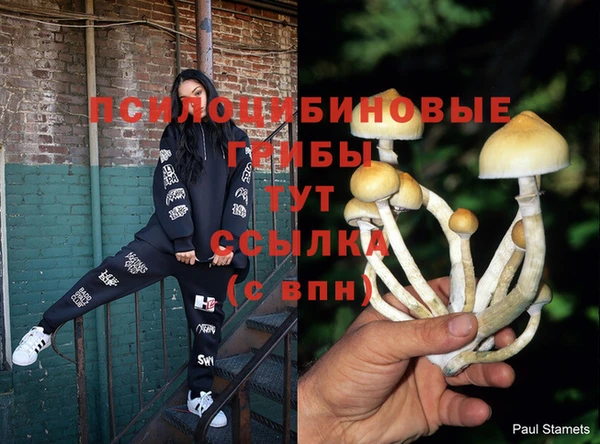 PSILOCYBIN Нестеровская