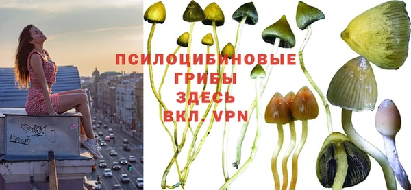 альфа пвп Няндома
