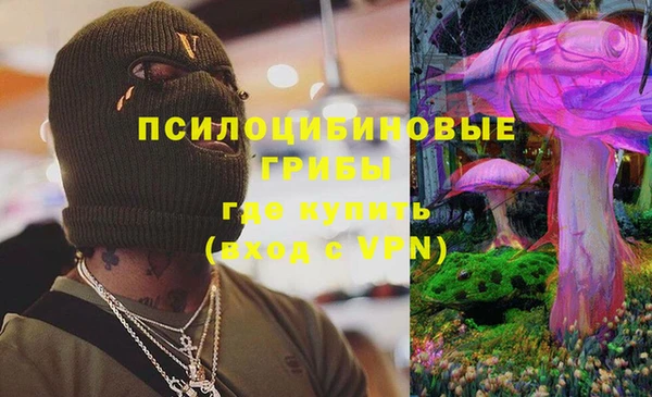 mdma Новодвинск
