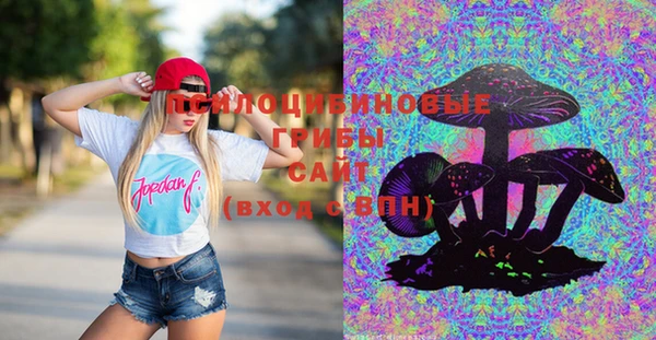 mdma Новодвинск