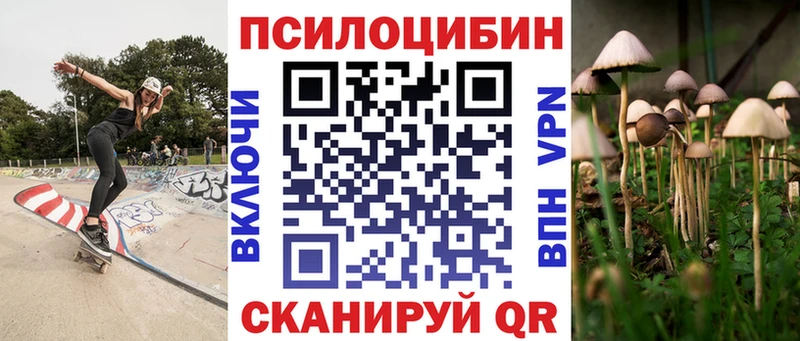 Псилоцибиновые грибы GOLDEN TEACHER  Трубчевск 